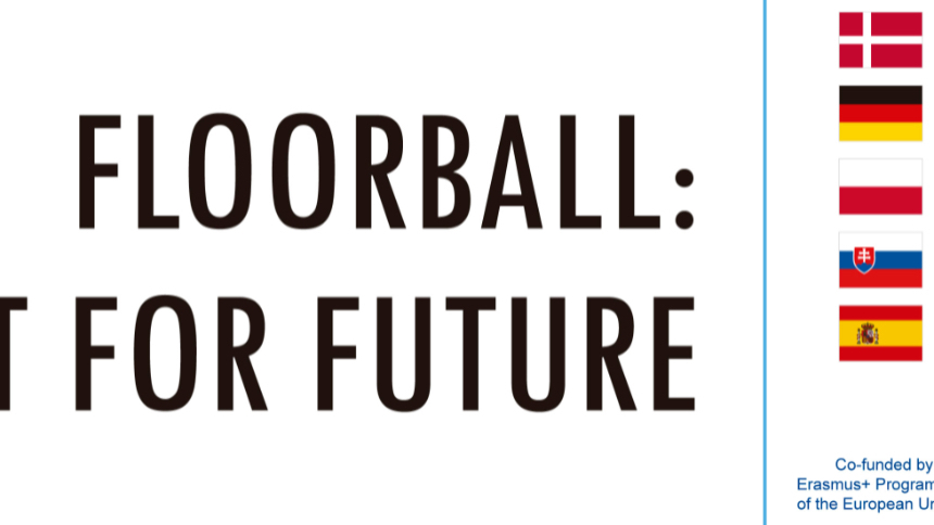 CONTINUACIÓN GRUPO DE TRABAJO  PARA EL DESARROLLO DEL FLOORBALL EN ESPAÑA